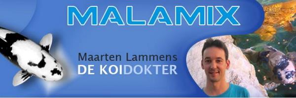 Koidokter Maarten Lammens